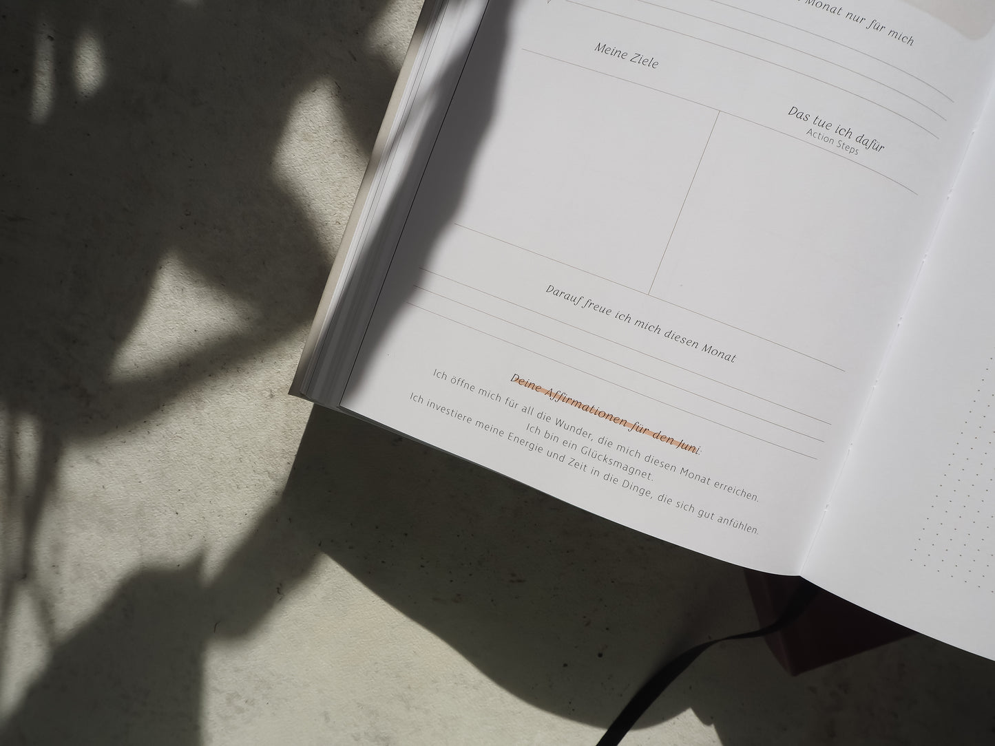 Lebensbegleiter Kalender 2024 ∙ A5